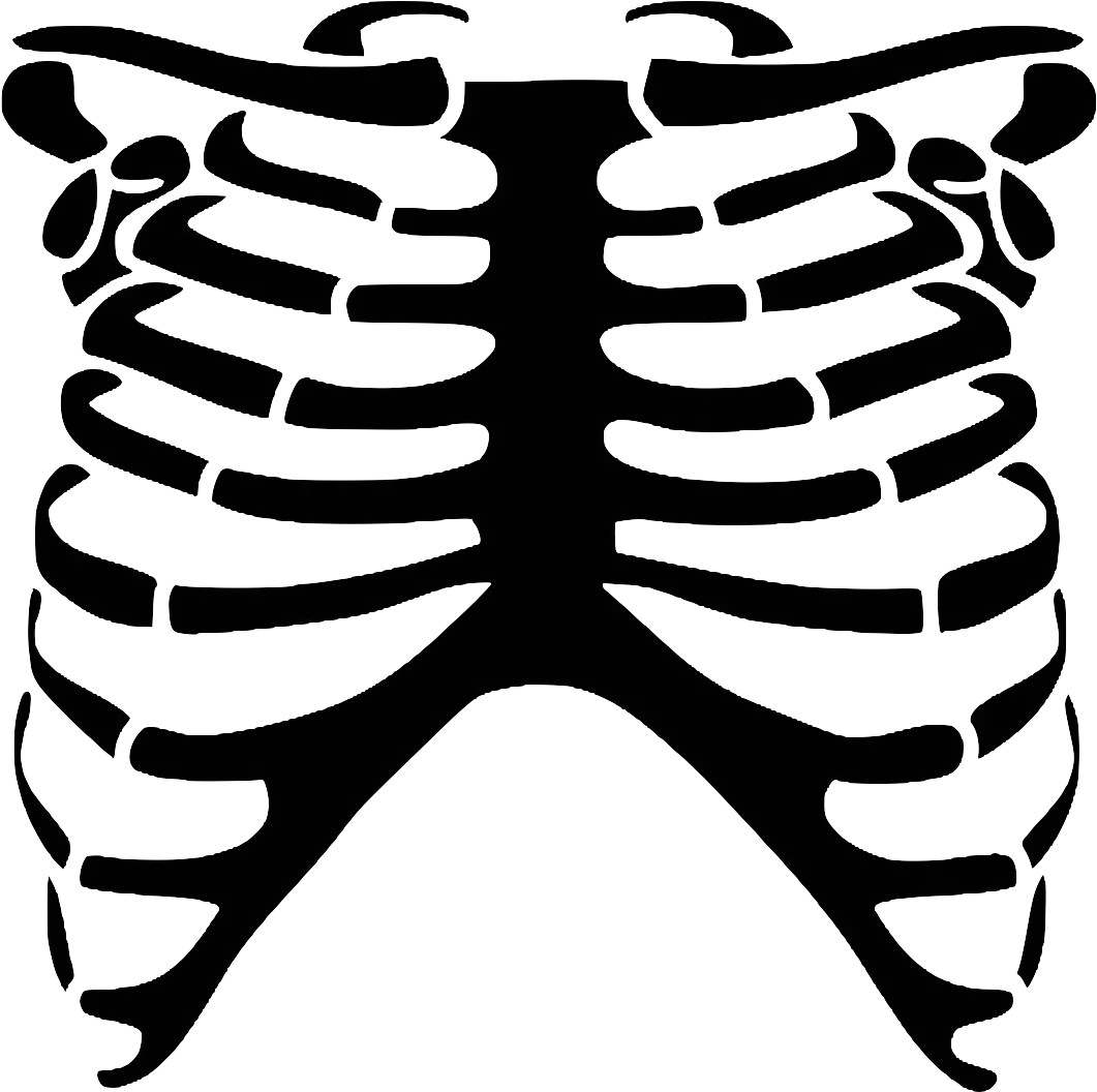 Rib Cage Human Skeleton Skull Bone Skeleton Rib Cage Clipart