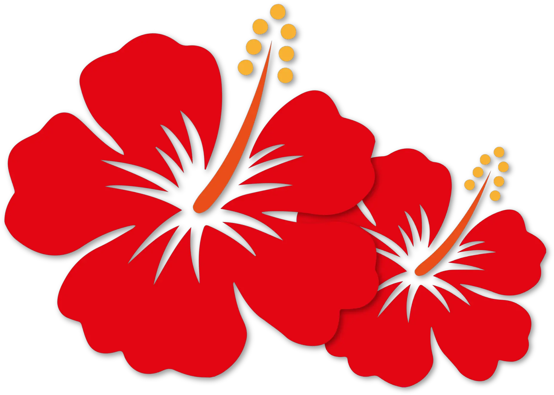 Transparent Bunga Png Cartoon Hibiscus Png