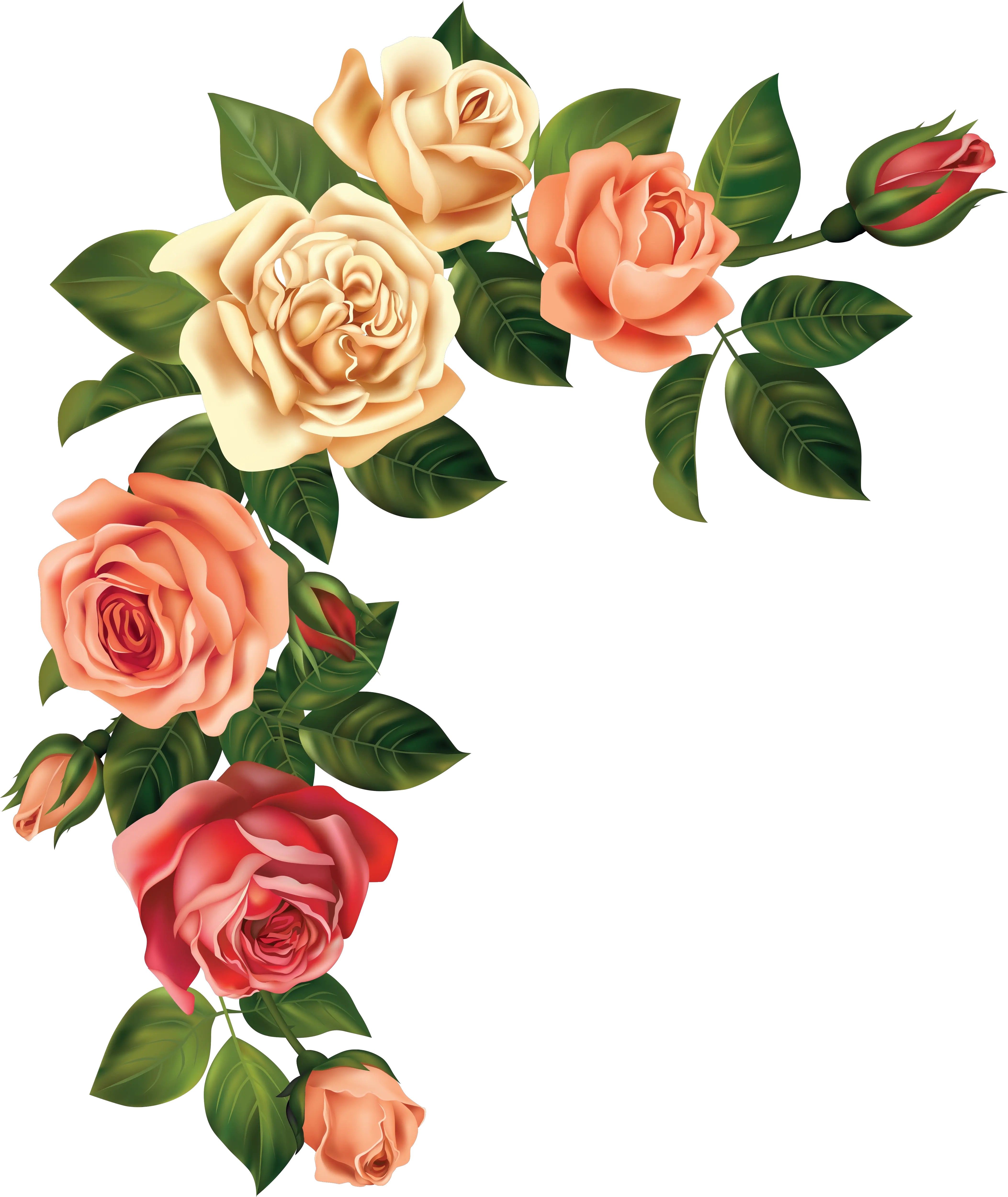 Transparent Flower Garden Clipart Rustic Peach Flower Png