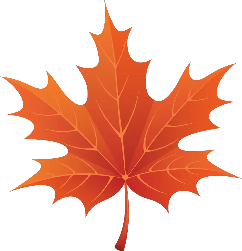 Autumn Leaves Png Images Free Png Yellow Leaves Cartoon Fall Leaf Png