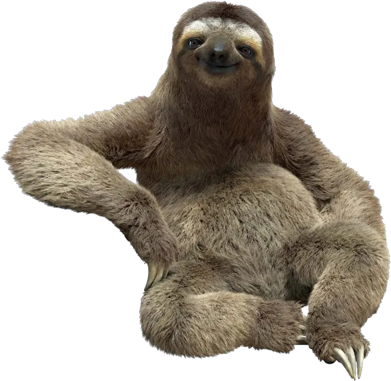 Sloth Png Image Download Sloth Png