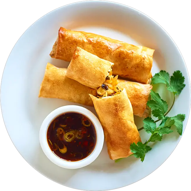 Vegetable Spring Rolls Chimichanga