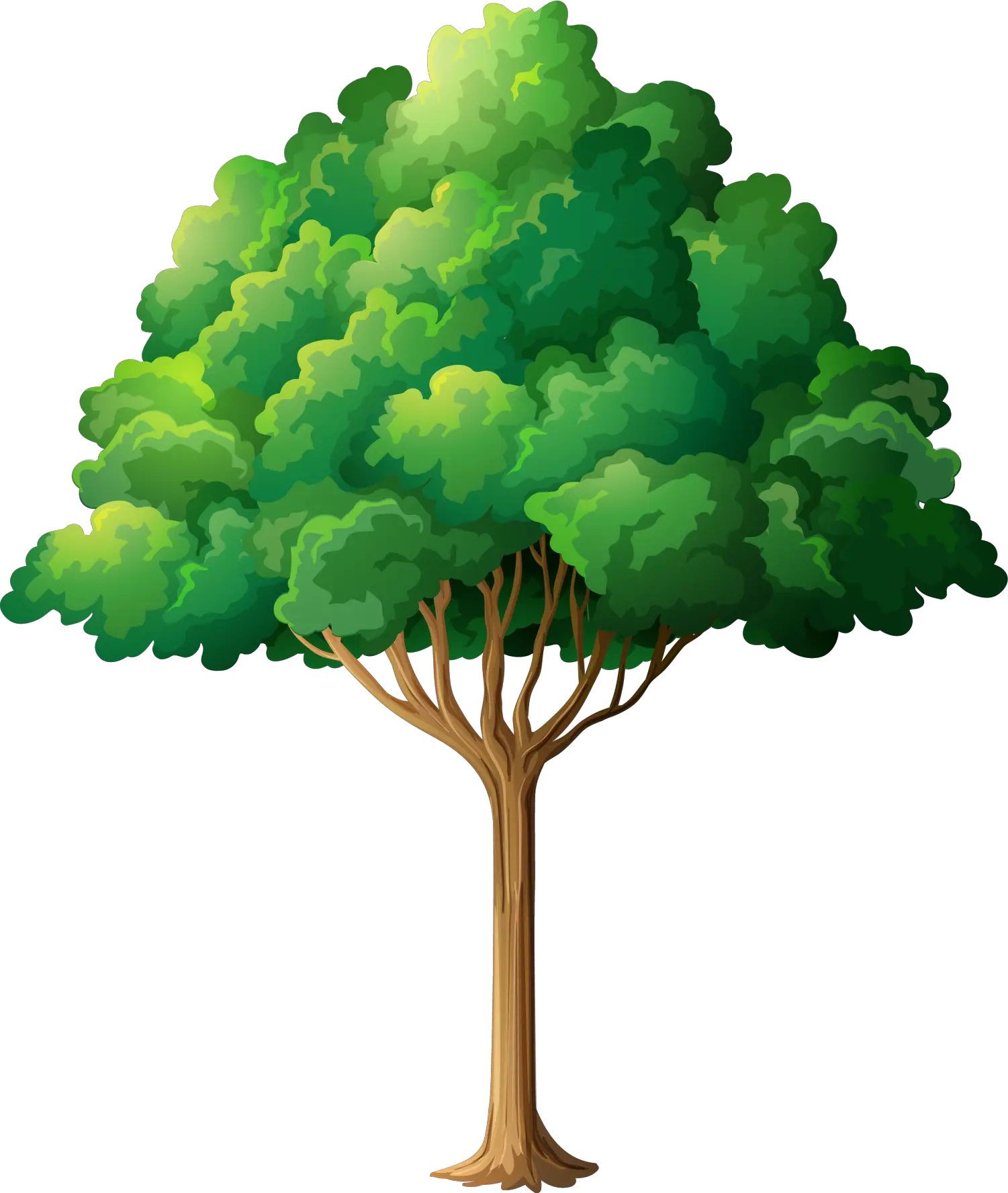Tree Branch Clip Art Forest Trees Clipart Png