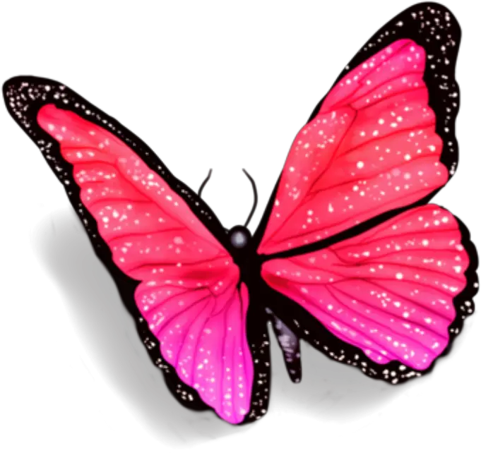 butterfly butterflies petsandanimals fly overlay Butterfly With Shadow Png