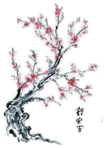 Twig Drawing Cherry Tree Transparent Png Clipart Free Drawing Japanese Cherry Blossom Branch