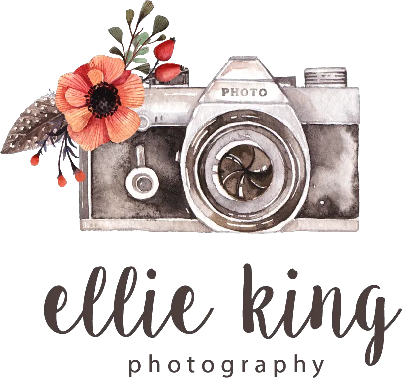 Camera Logo Design Photography Logo Hd