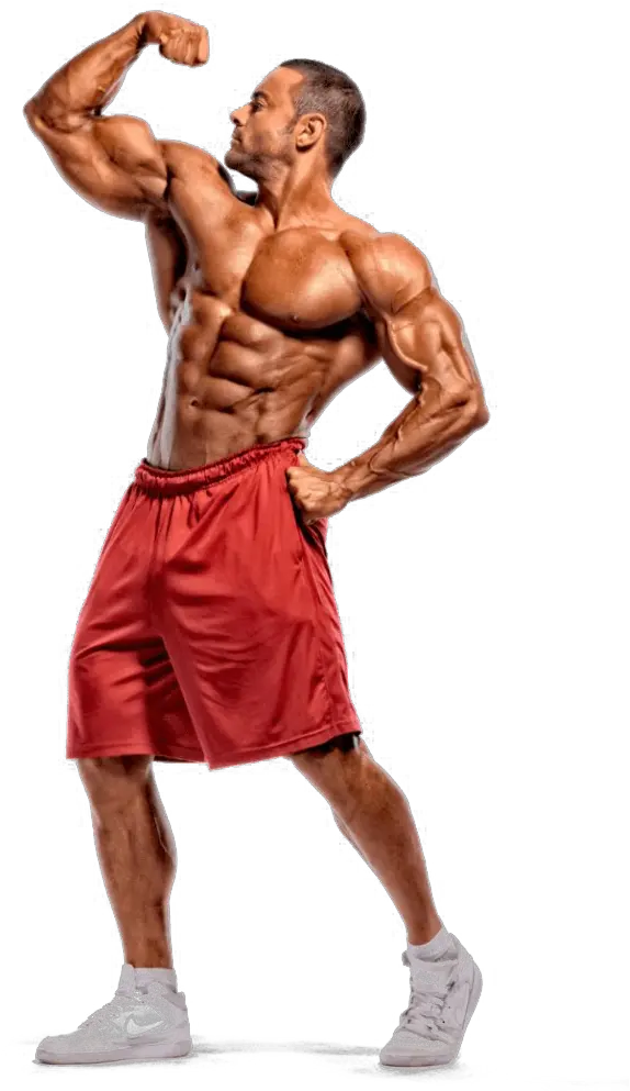Bodybuilding Transparent Body Builder Stock