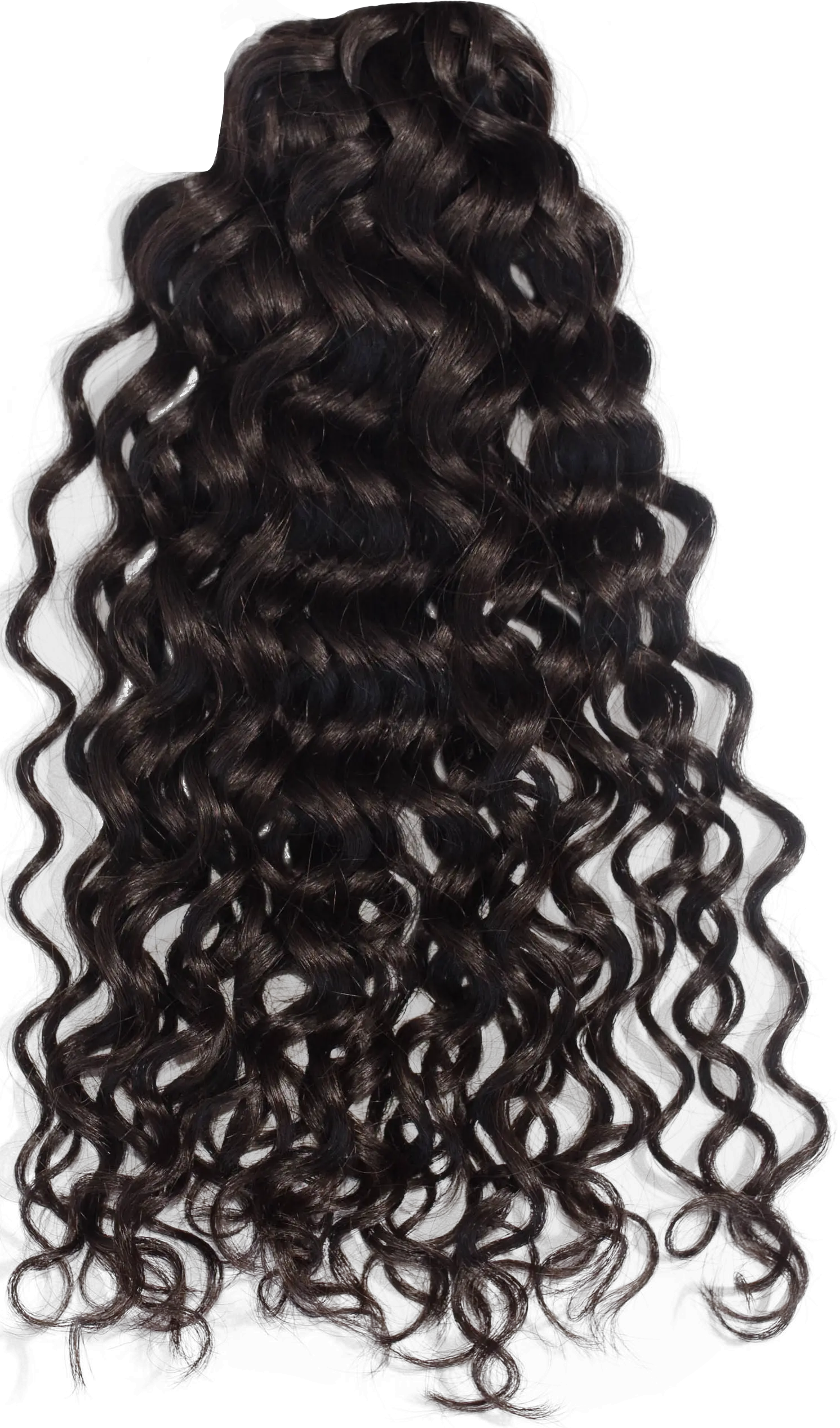 Hair Curls Png Photo Transparent Curly Hair Png