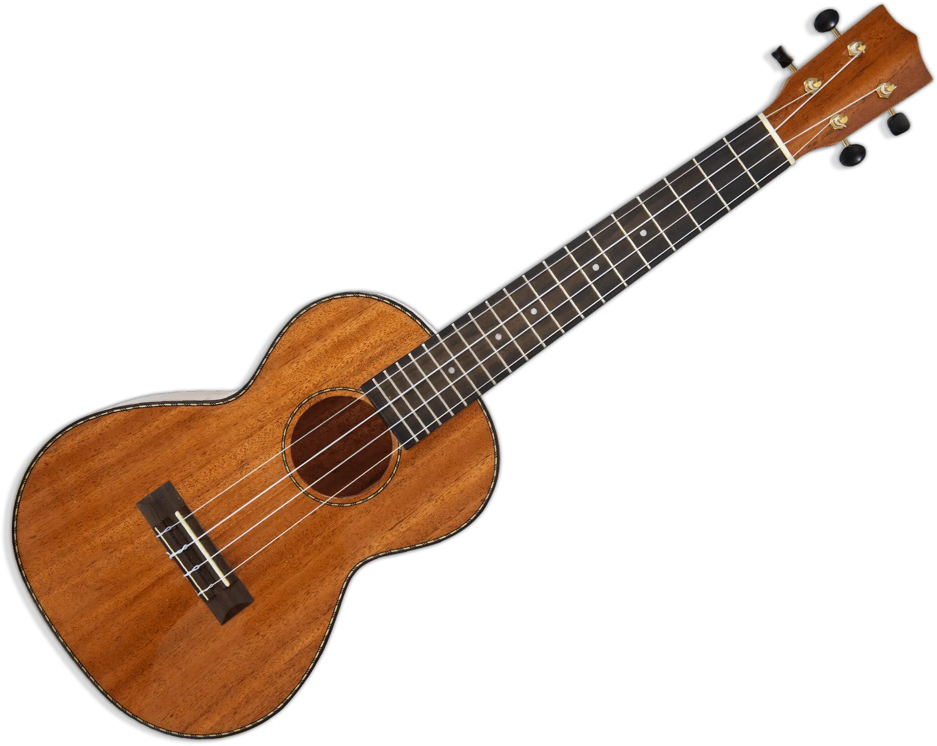 Ukulele Vector Oval Ibanez Concert Ukulele