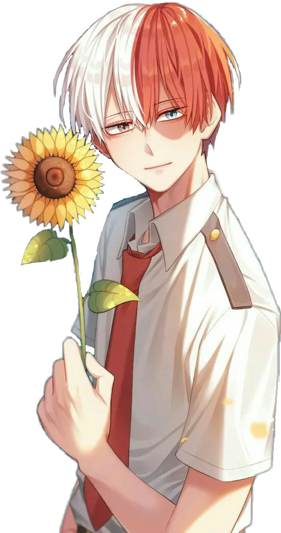 todorokishouto todoroki shouto bnha myheroacademia Cute Todoroki With Sunflowers