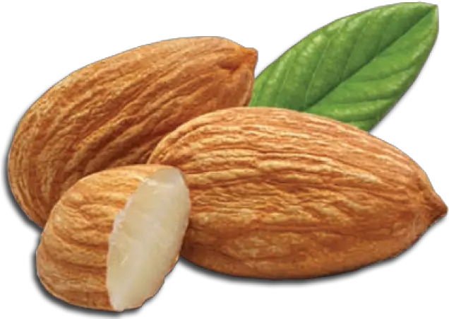 Almond Png Transparent Images Almonds Transparent Background