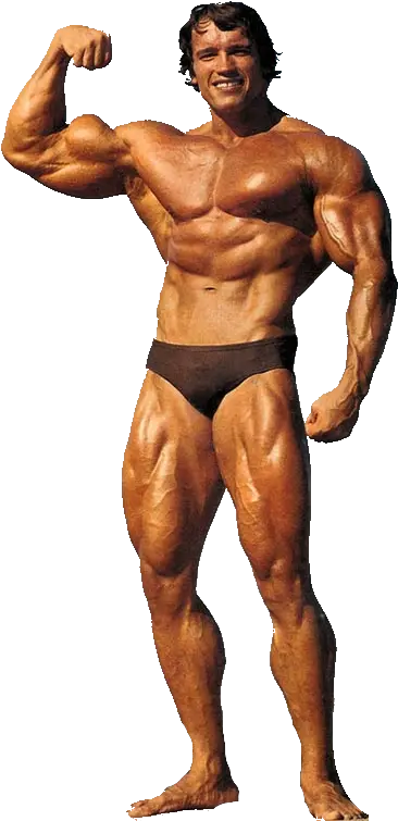 Arnold Png Arnold Schwarzenegger Bodybuilding Png