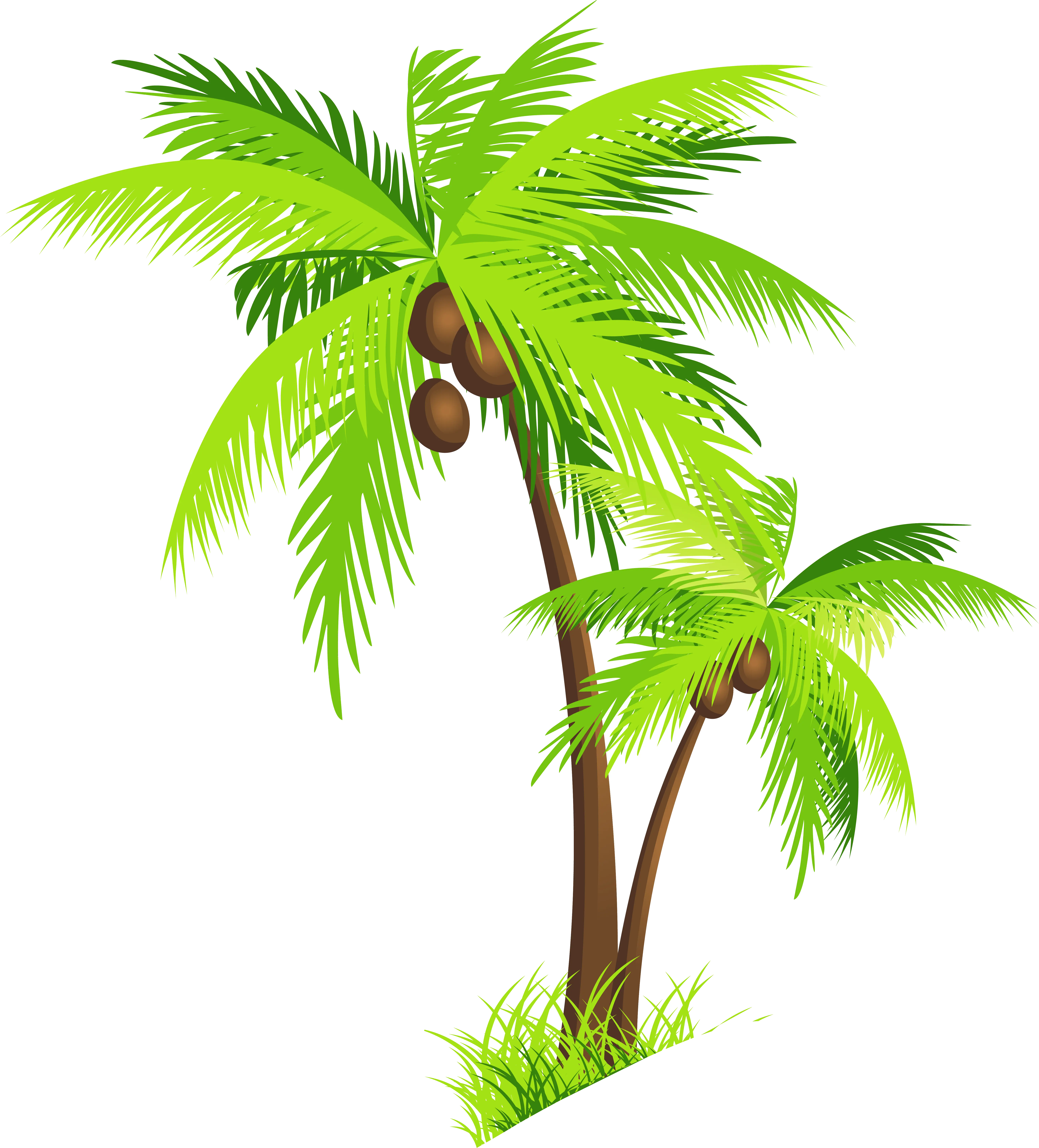 Safari Trees Hd Coconut Tree Clipart Palm Clip Art Transparent Background Coconut Tree Clipart