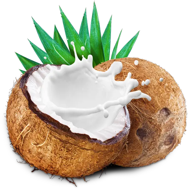 Transparent Milk Splash Png Coconut Milk Splash Png