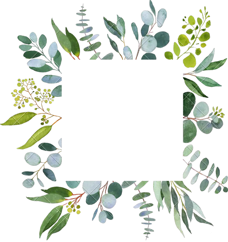 Clip Art Eucalyptus Greenery Greenerys Templates