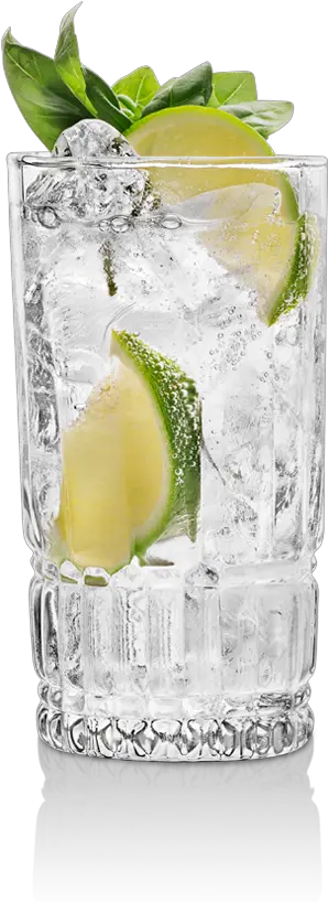 Vodka Gin Tonic Png