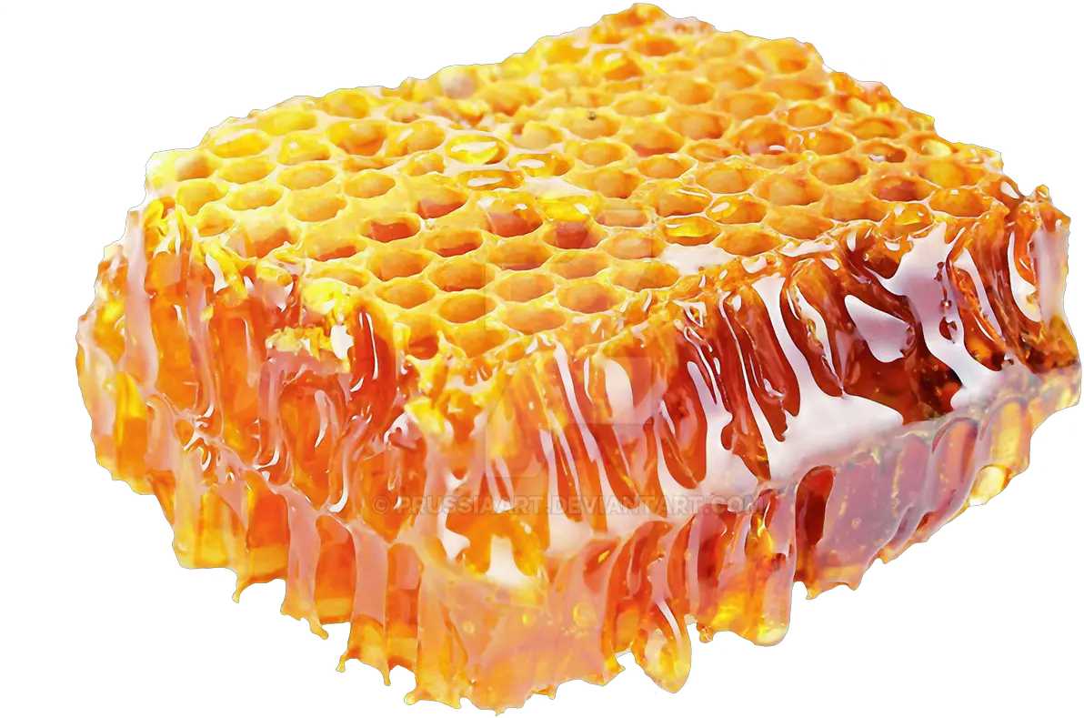 Honey Png Transparent Background Honey Png