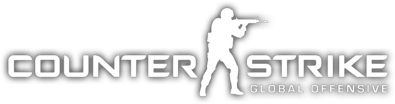 Counter Strike Global Offensive Steam Log