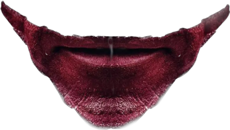 Joker Photo Editing Lips Png Velvet