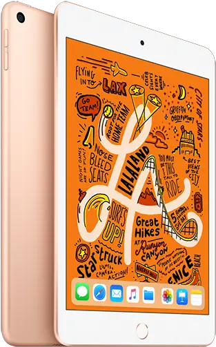 Ipad Mini 5 Gold