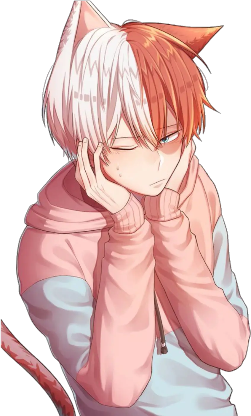 Transparent Todoroki Shouto Png Shouto My Hero Academia