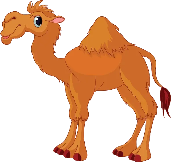 Camel Png Photo Transparent Camel Clipart