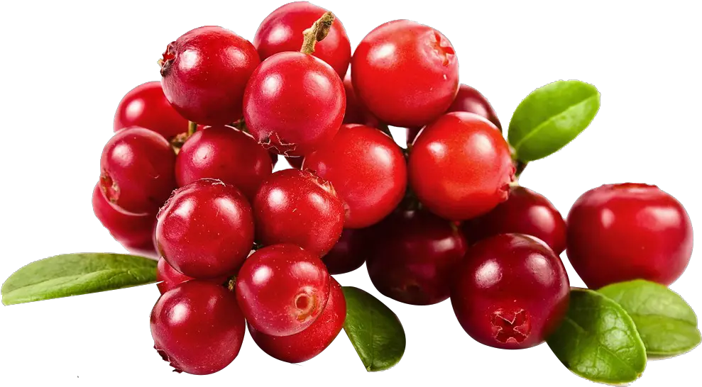Thumb Image Transparent Cranberry Png