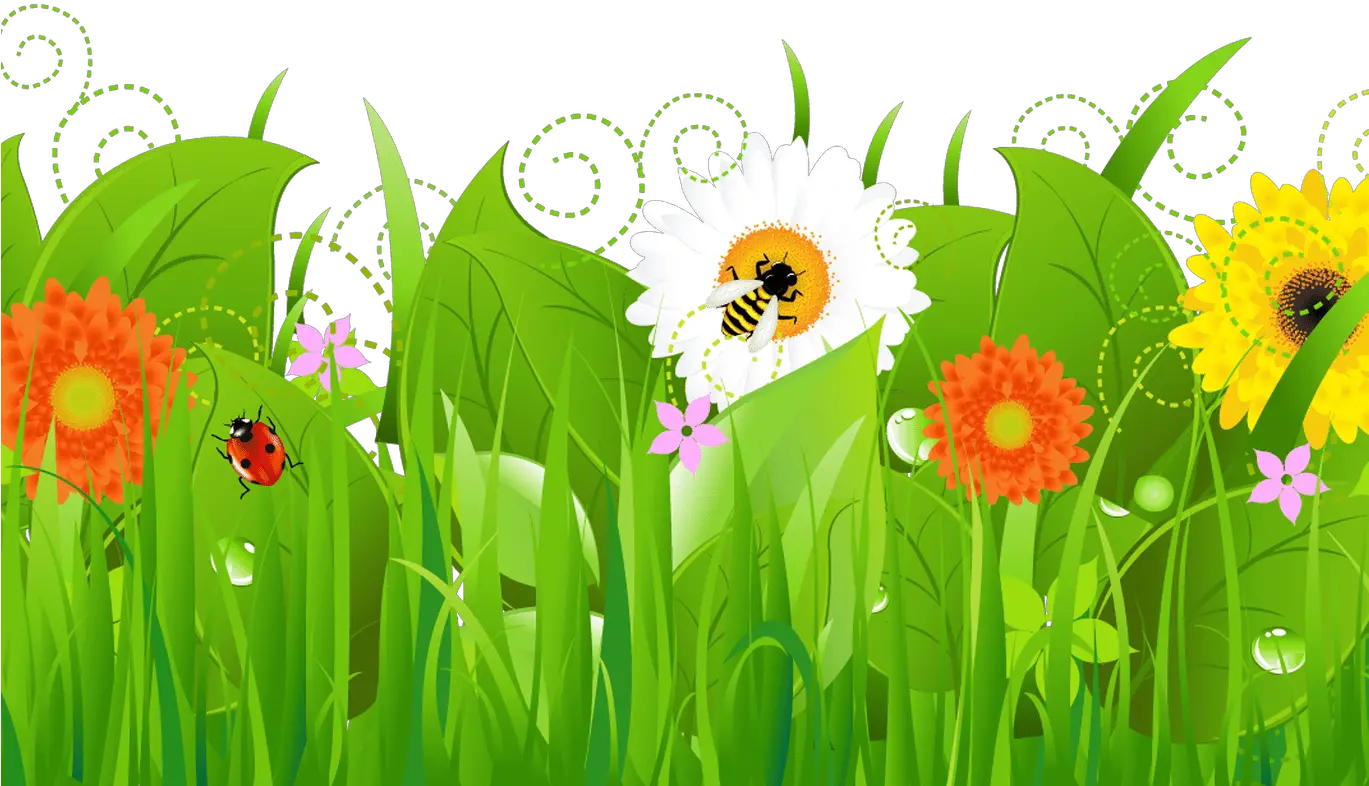 Transparent Vegetable Garden Border Clipart Grass With Flowers Clipart