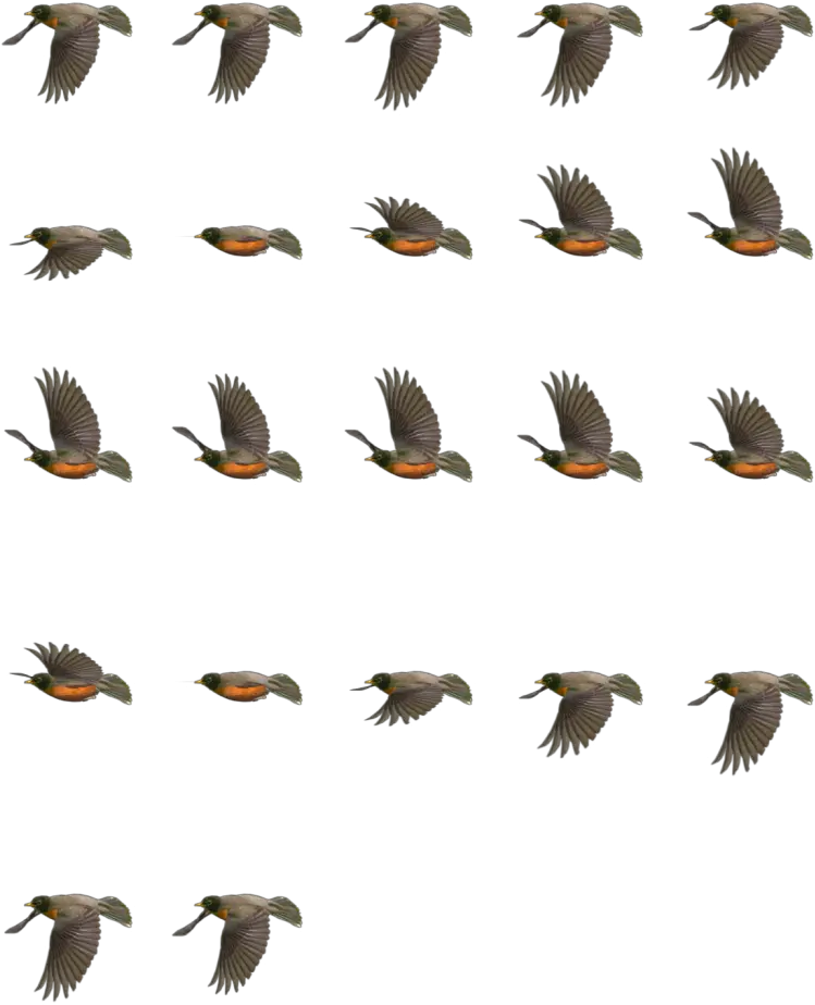 Return Of The Animated Gif 2d Bird Flying Animation