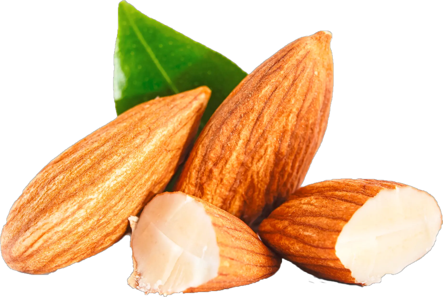 Almond Organic Food Nut Carrier Oil Almond Png