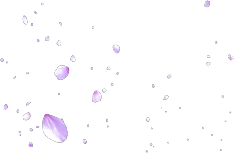 Transparent Cherry Blossom Png Cherry Blossoms Falling Png