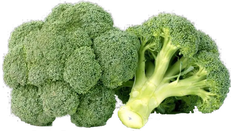 Green Broccoli Png Free Background Broccoli Png