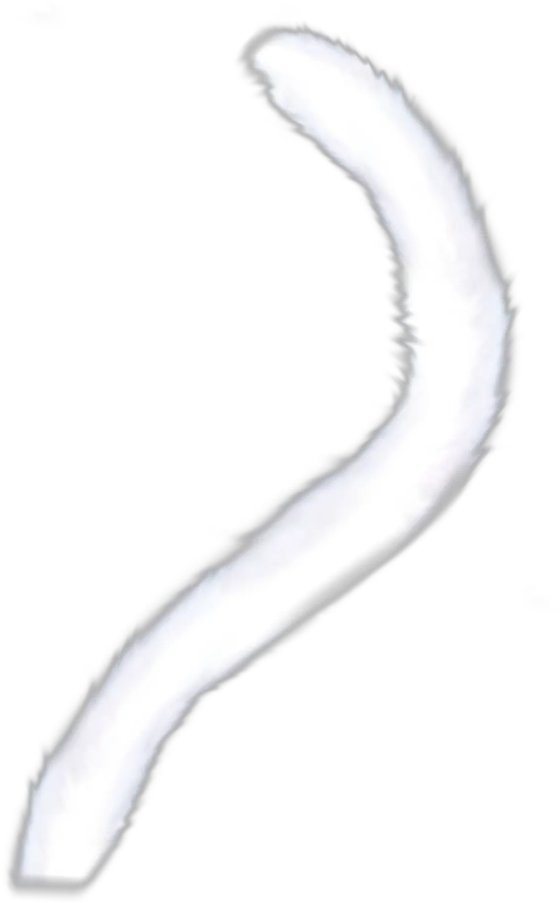 cattail cat tail freetoedit Macro Photography