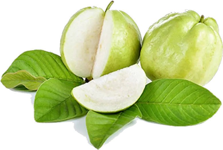 Guava Png Free Download Green Guava