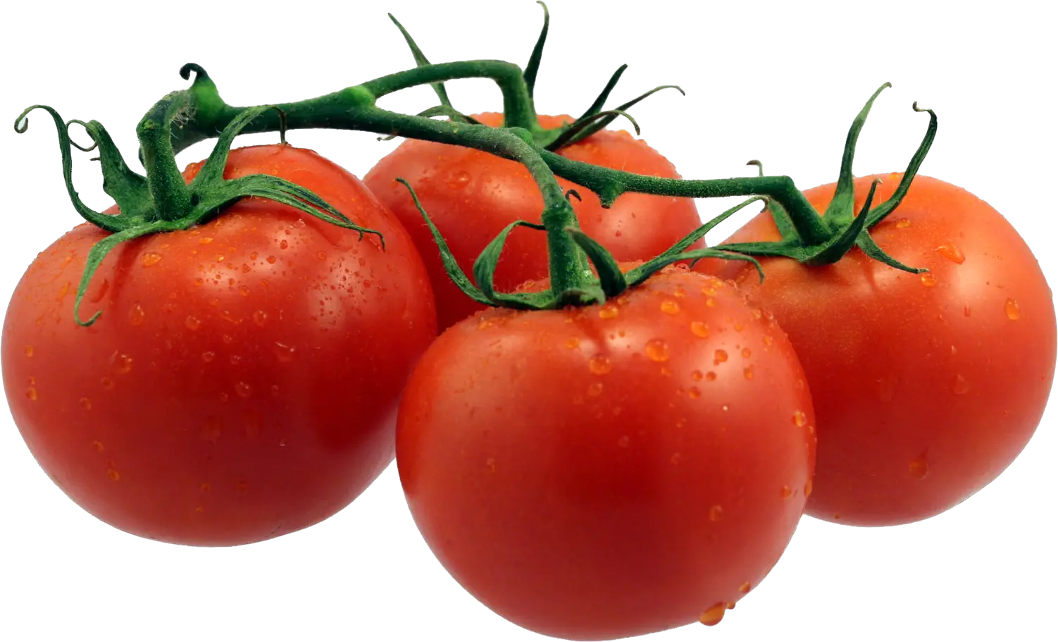 Tomatoes Png Single Fruits And Vegetables