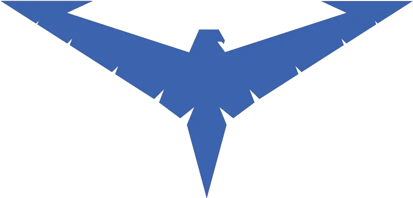 Nightwing Logo Png