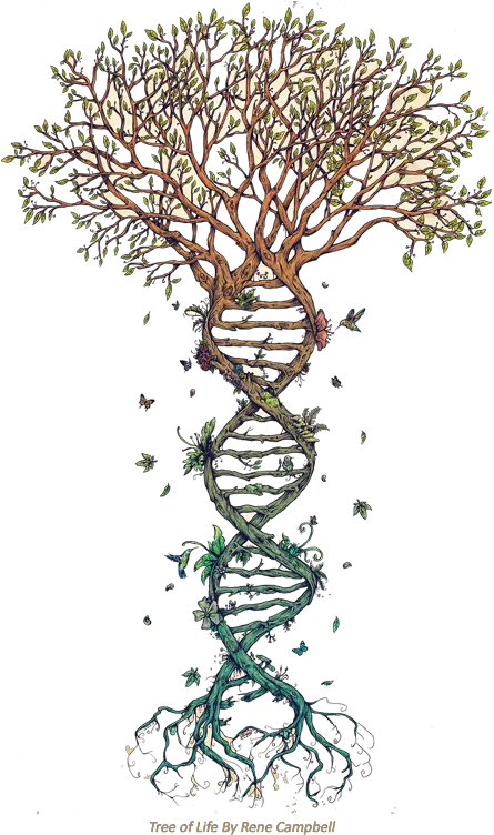 ¿qué Es Nayana Yoga Tree With Dna Roots