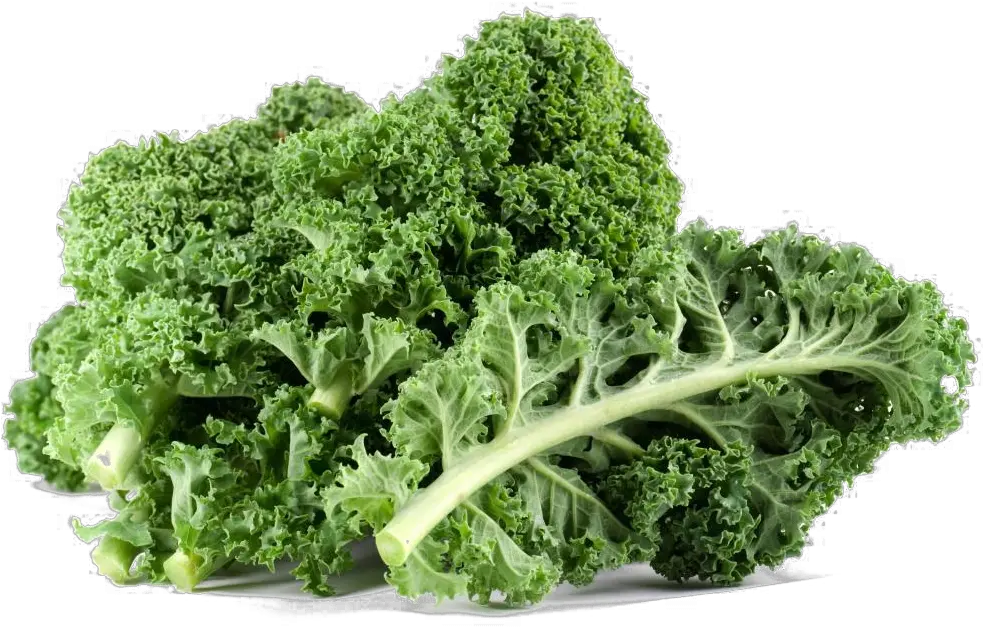 Kale Png Free Download Kale Png