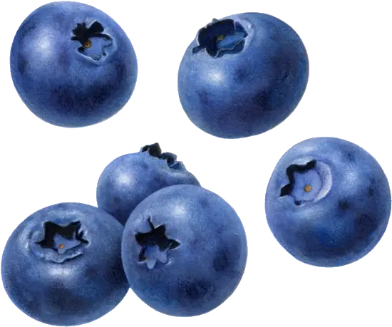 Blueberries Png Blue Berry No Background