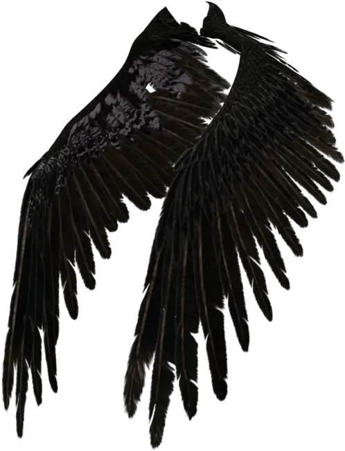 Transparent Eagle Wings Spread Clipart Black And White Black Angel Wings Png