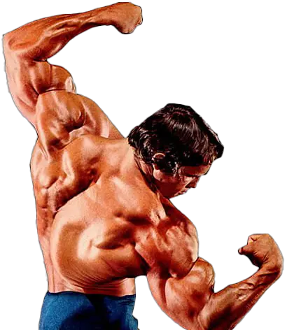 Arnold Schwarzenegger Bodybuilding Png Images Arnold Schwarzenegger Best Pose