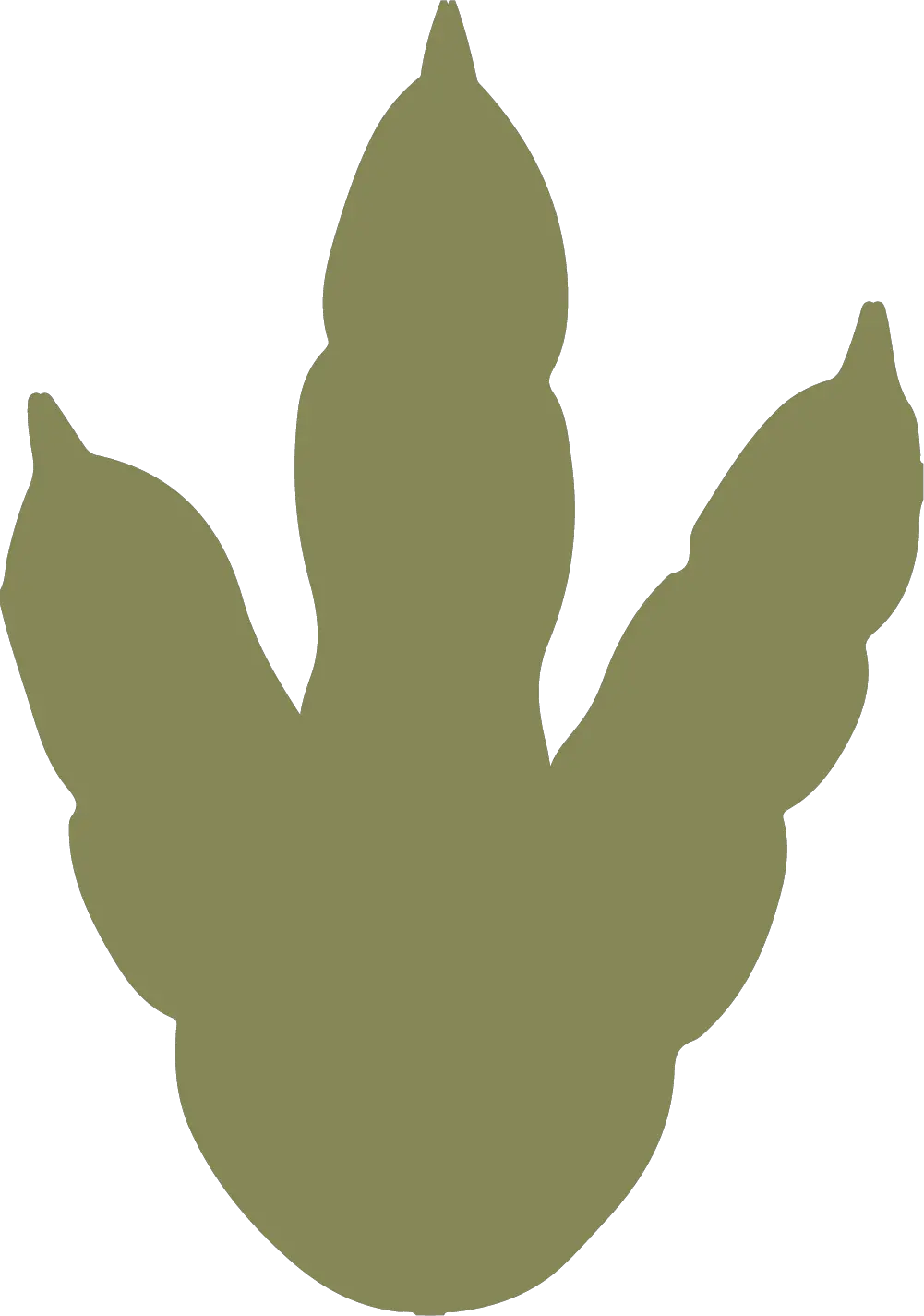 Dinosaur Icon Footprints Transprent Dinosaur Footprints Clip Art