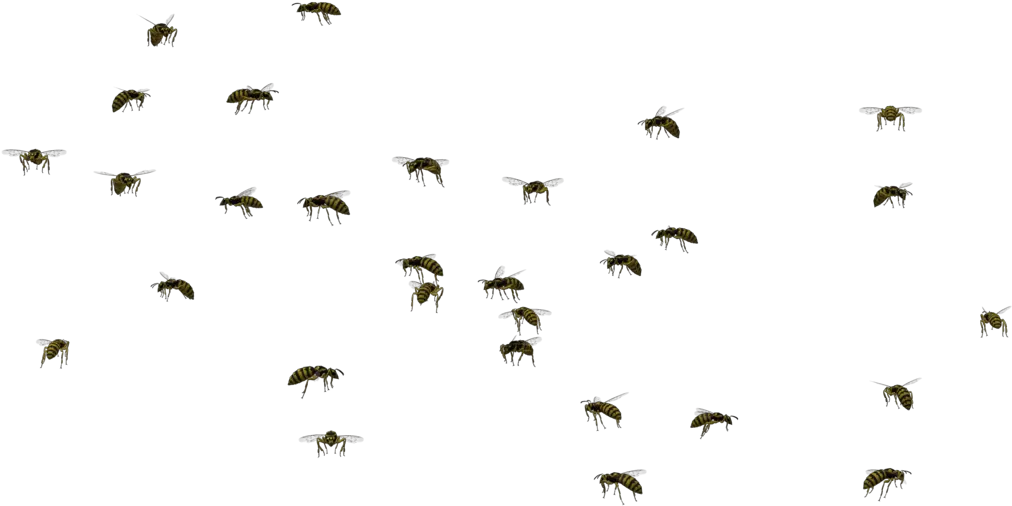 Transparent Bee Swarm
