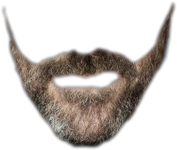 Jesus Beard Png Realistic Mustache Transparent Background