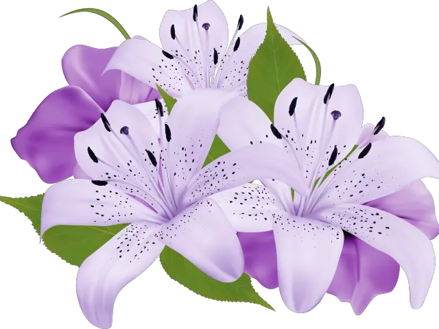 Lily Clipart Sea Flower Purple Flowers Clipart Png