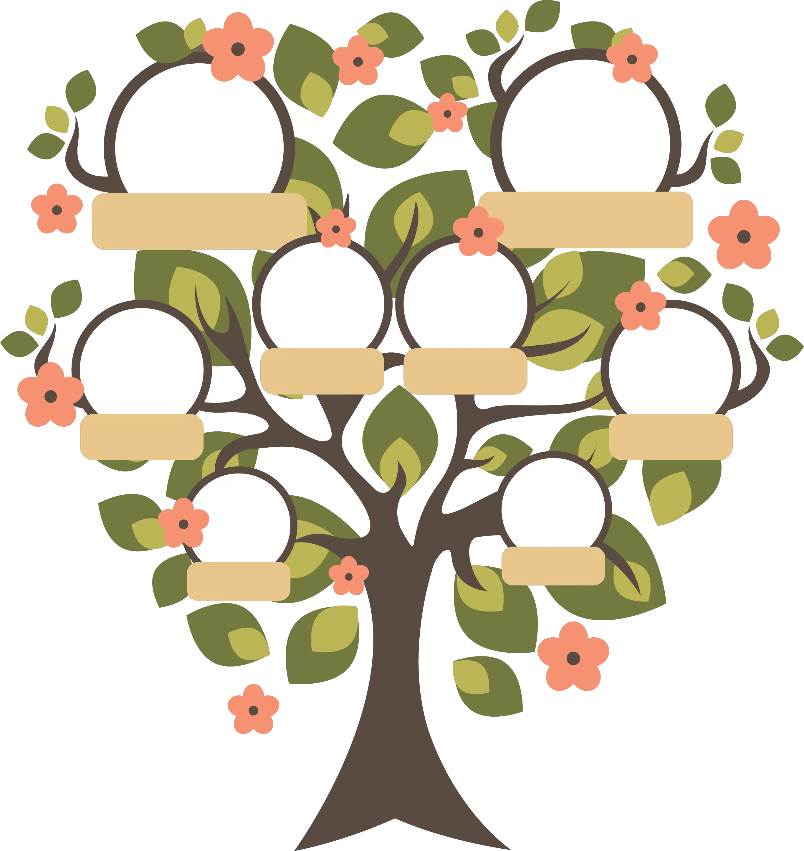 Family Tree Arbol Genealogico Png Clipart