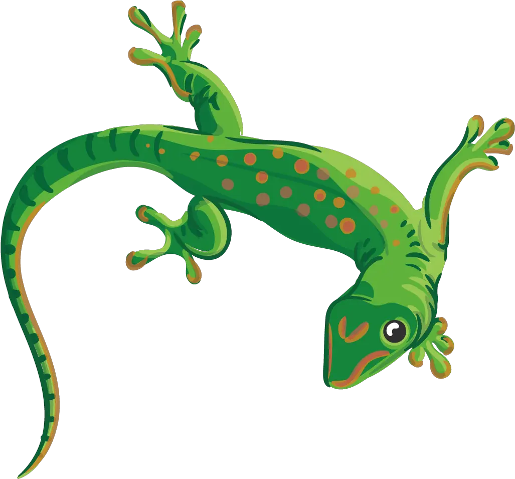 Collection Of Free Lizard Vector Reptile Transparent Background Lizard Clipart