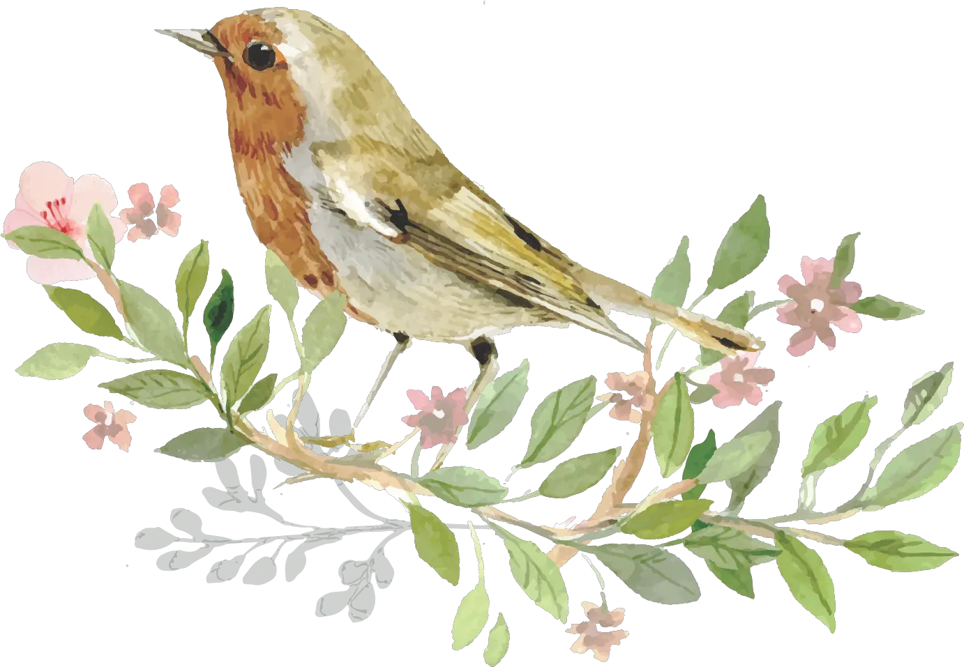 Sparrow Bird Watercolor Painting Transparent Bird Png Watercolor