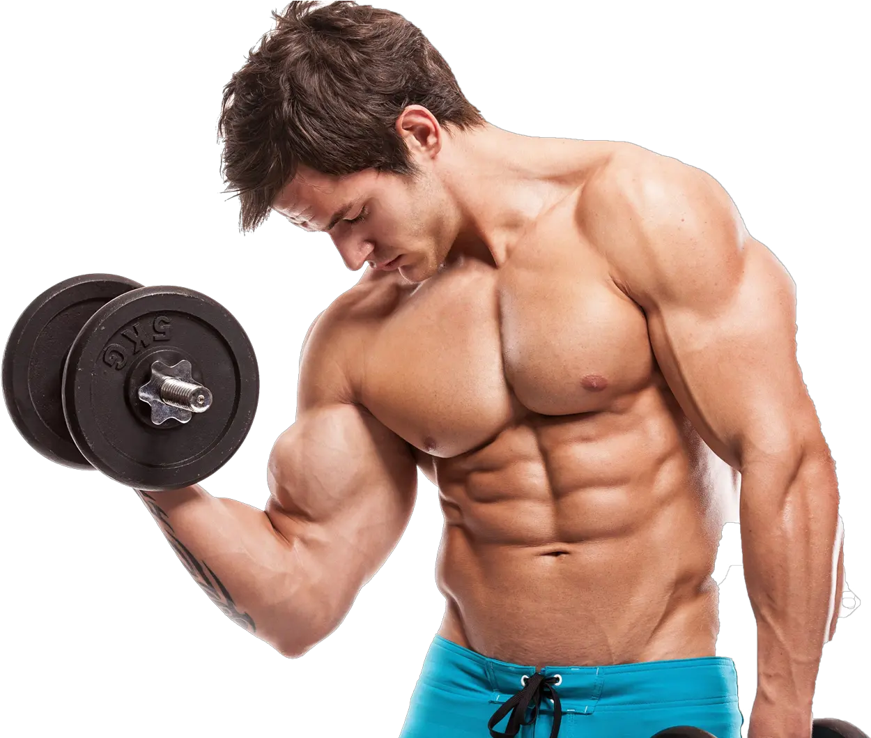 Bodybuilding Png Image Download Do Muscles Grow