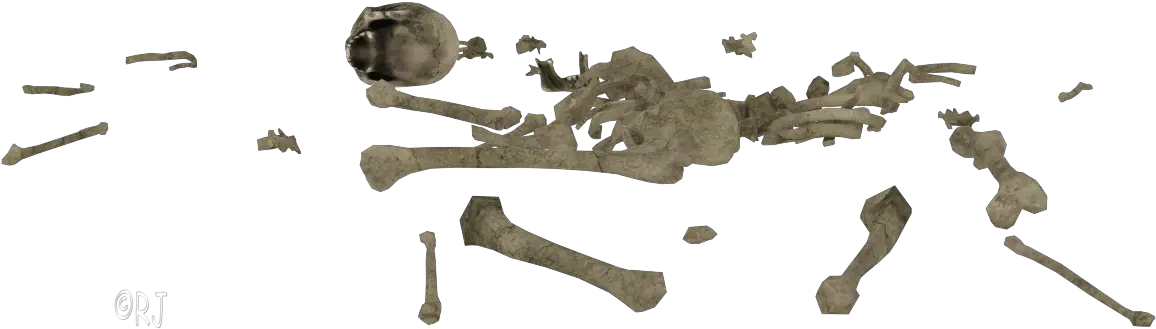 Transparent Pile Of Bones Png